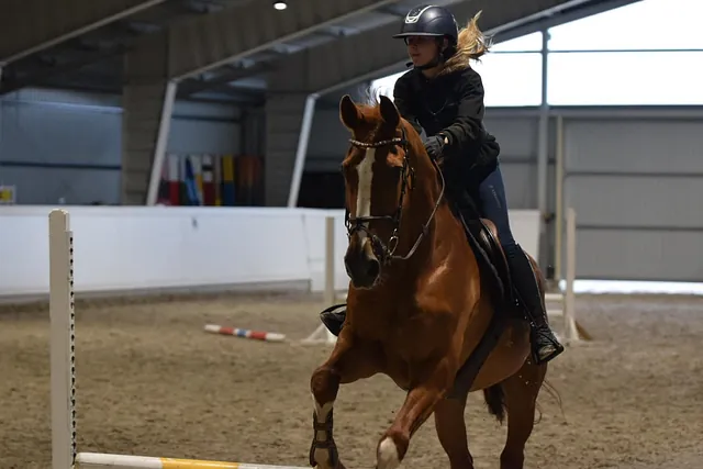 Bilde fra Torvastad Ridesenter