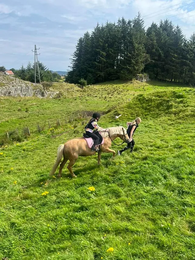 Bilde fra Torvastad Ridesenter