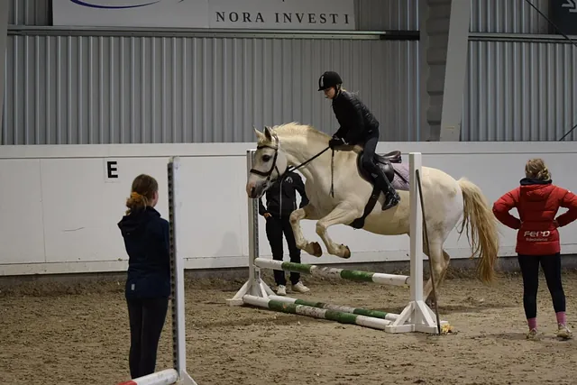 Bilde fra Torvastad Ridesenter